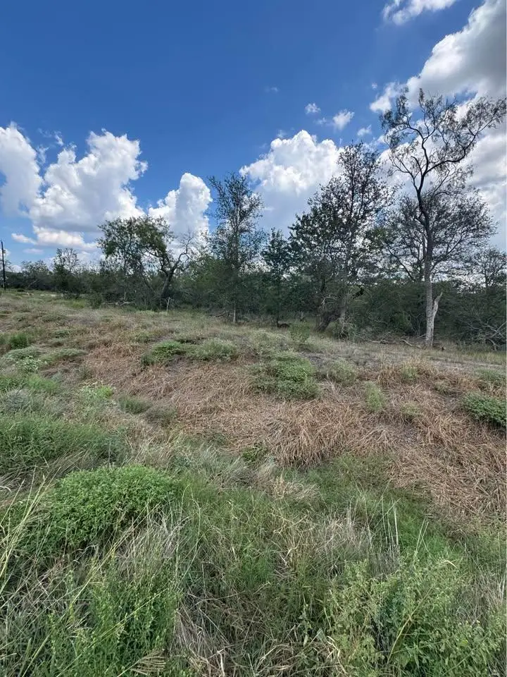 225 Brinley Mae Way, Lockhart, TX 78644 - #1