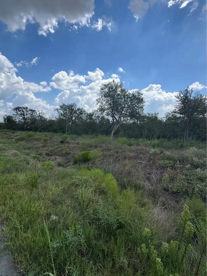 225 Brinley Mae Way, Lockhart, TX 78644 - #2