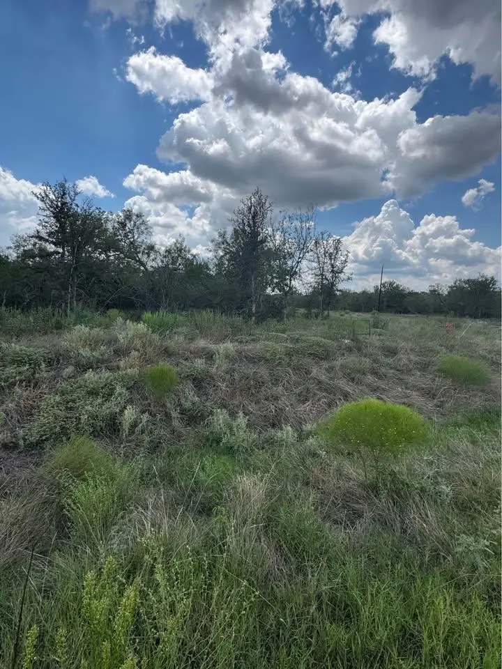 225 Brinley Mae Way, Lockhart, TX 78644 - #3