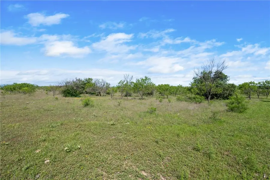 TBD County Road 236, Liberty Hill, TX 78605 - #3
