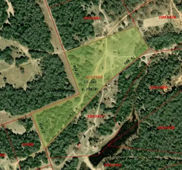 Tract 14 The Ranches At Woodland Trail, Caldwell, TX 77836 - Image #2