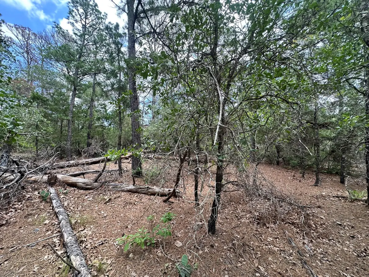 217 Helemano Dr, Bastrop, TX 78602 - #1