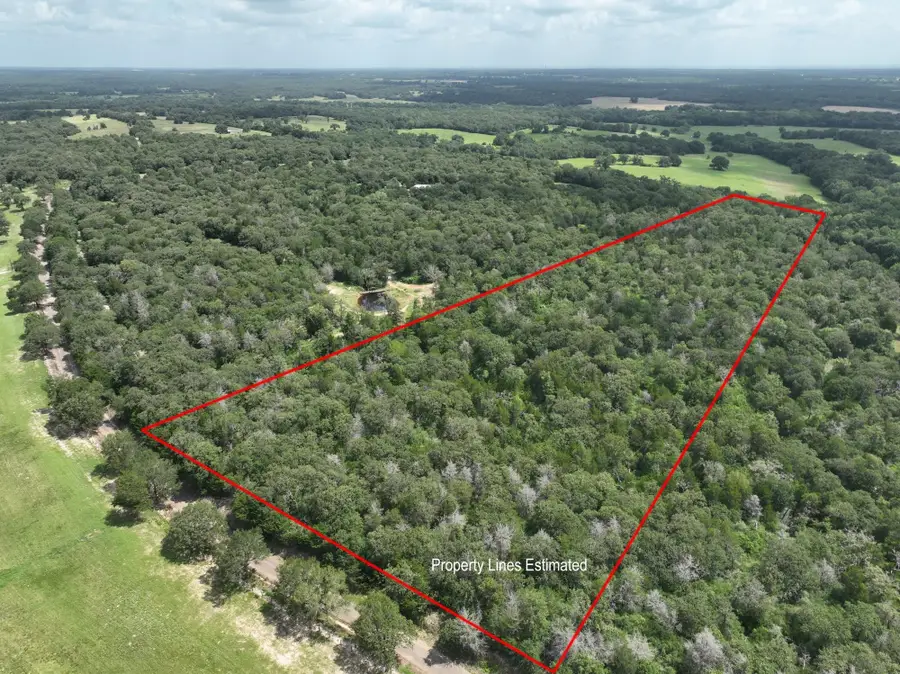 +- 15 Acres County Road 333, Caldwell, TX 77836 - #3