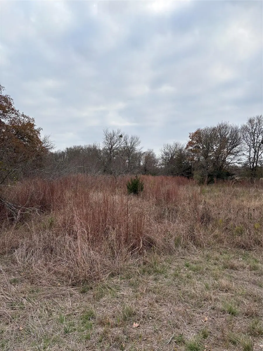 TBD James Craft Road James Craft Rd, Somerville, TX 77879 - Image #2