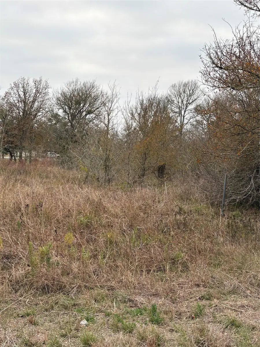 TBD James Craft Road James Craft Rd, Somerville, TX 77879 - Image #3