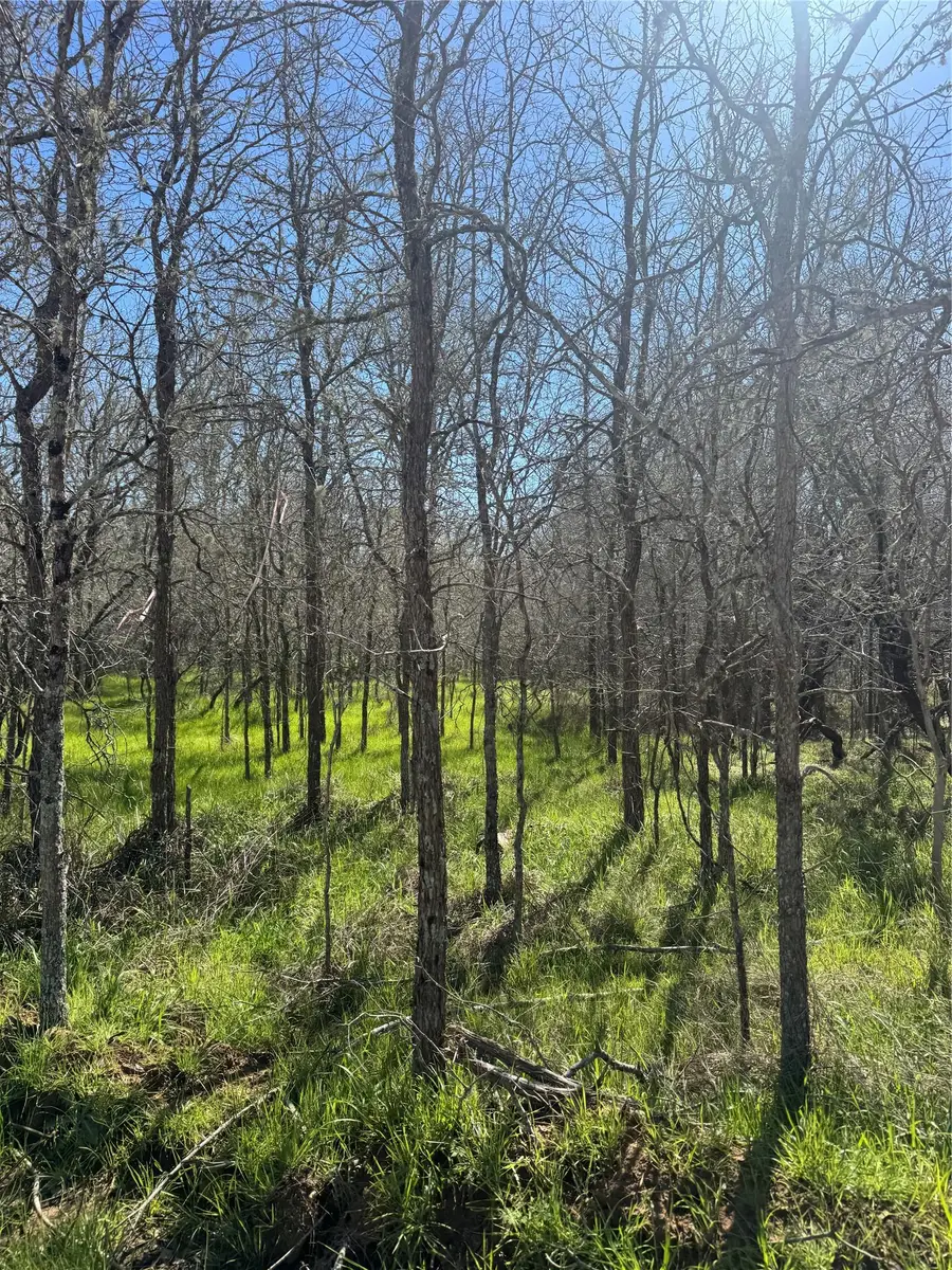 291 Kolekole Ln, Bastrop, TX 78602 - #2