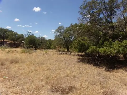 Lot 142 Pine Lane, Cottonwood Shores, TX 78657 - #2