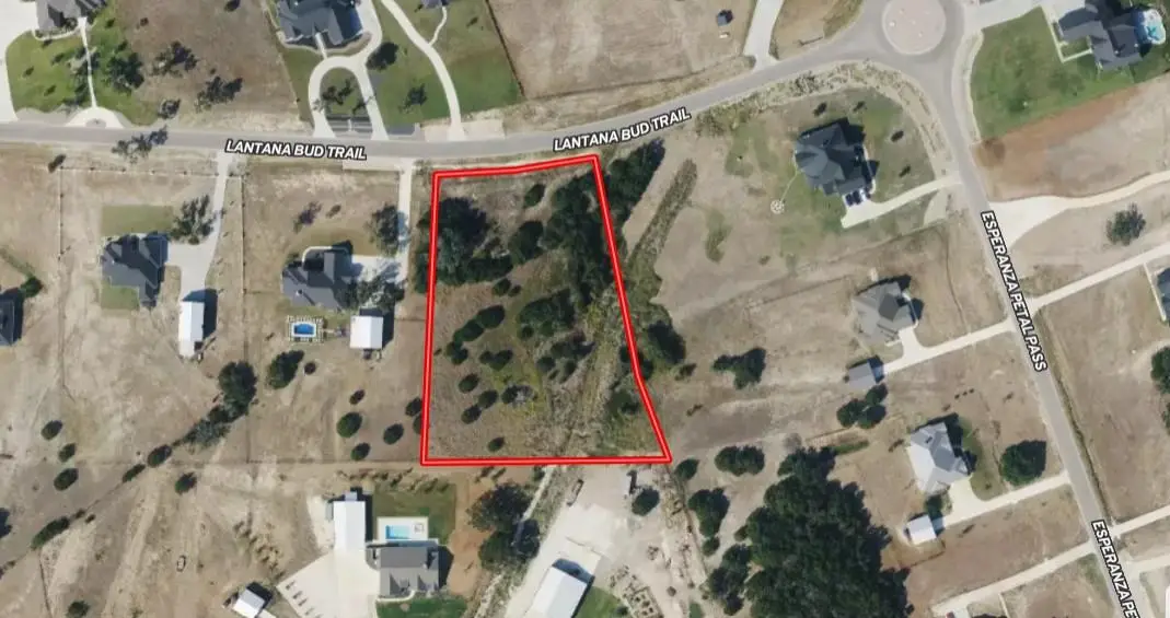 220 Lantana Bud Trl, Liberty Hill, TX 78642 - #1