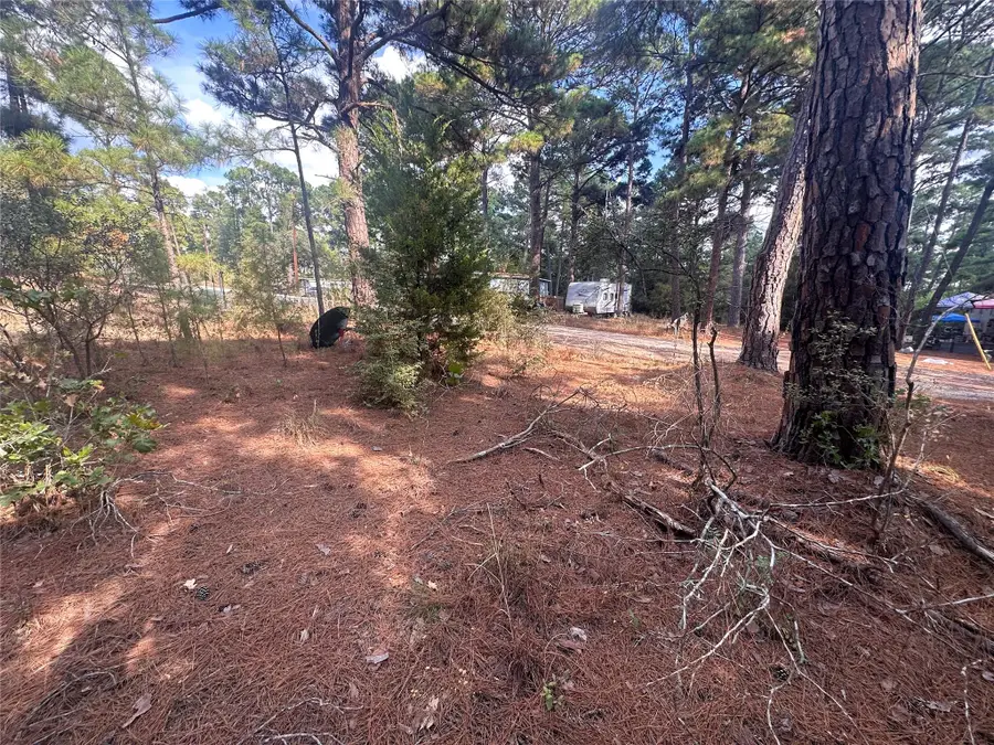 Lot 84 Hill Ridge Dr, Bastrop, TX 78602 - Image #2