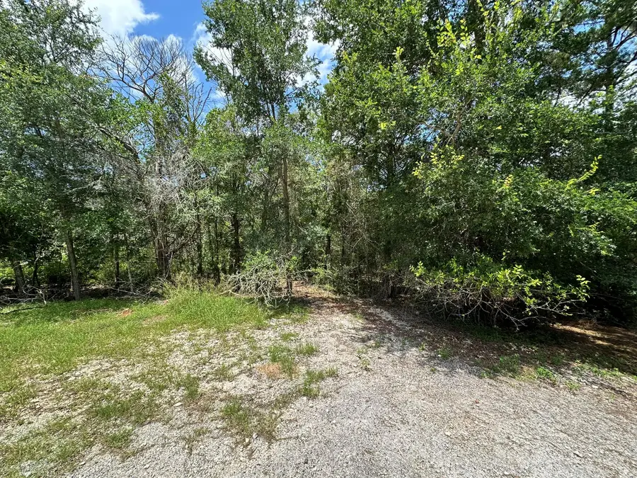 000 Oah Ct, Bastrop, TX 78602 - #3