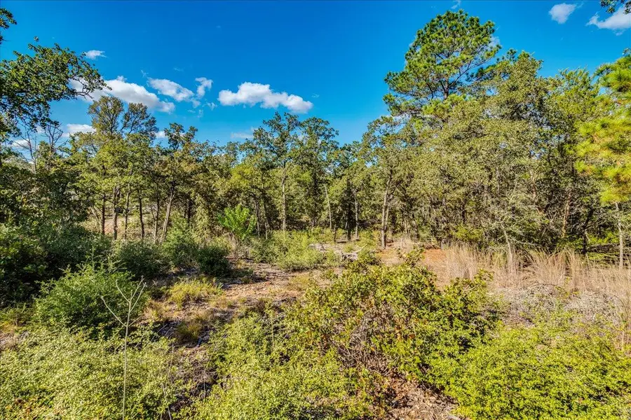 106 Wampum, Smithville, TX 78957 - #3