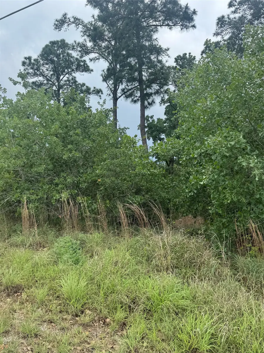 Lot 1612 Kaanapali Ln, Bastrop, TX 78602 - #3