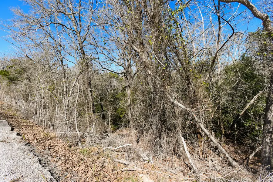 236 Iva Ln, Bastrop, TX 78602 - #3