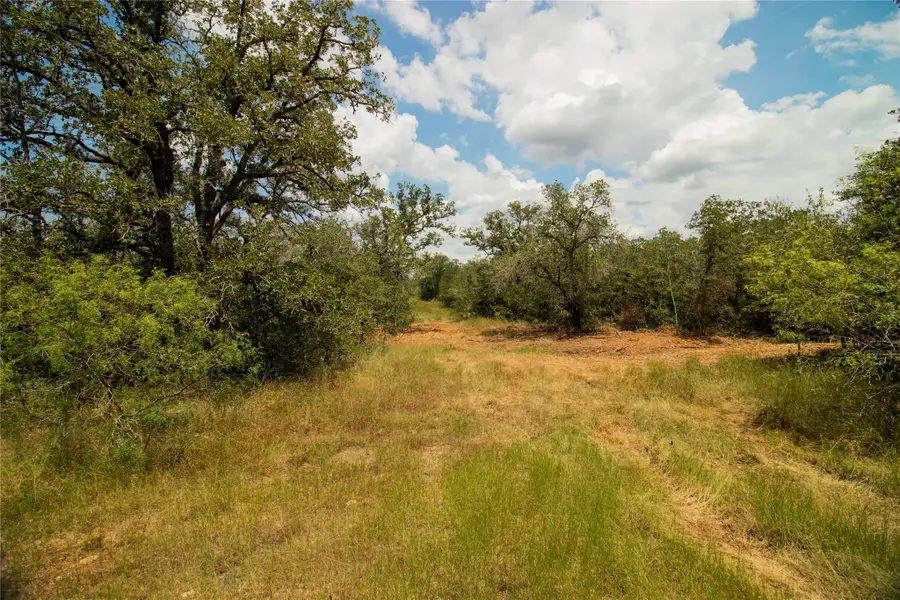 9057 Sycamore Shade Ln, Kingsbury, TX 78155 - #3