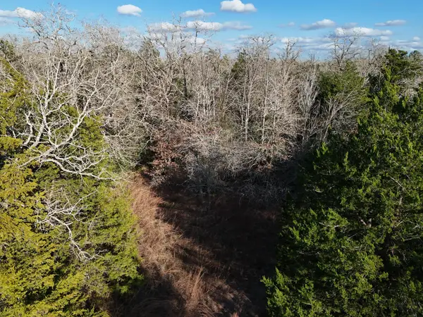 Lot 11 Antioch Rd, Paige, TX 78659