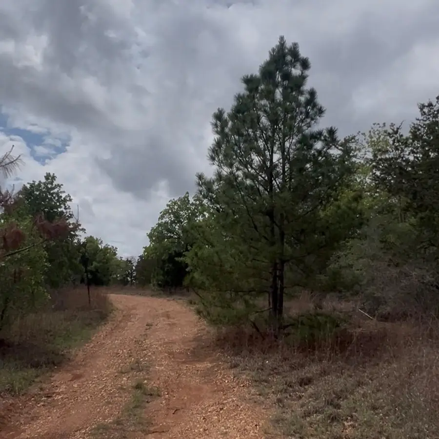 Lot 11 Antioch Rd, Paige, TX 78659 - #3