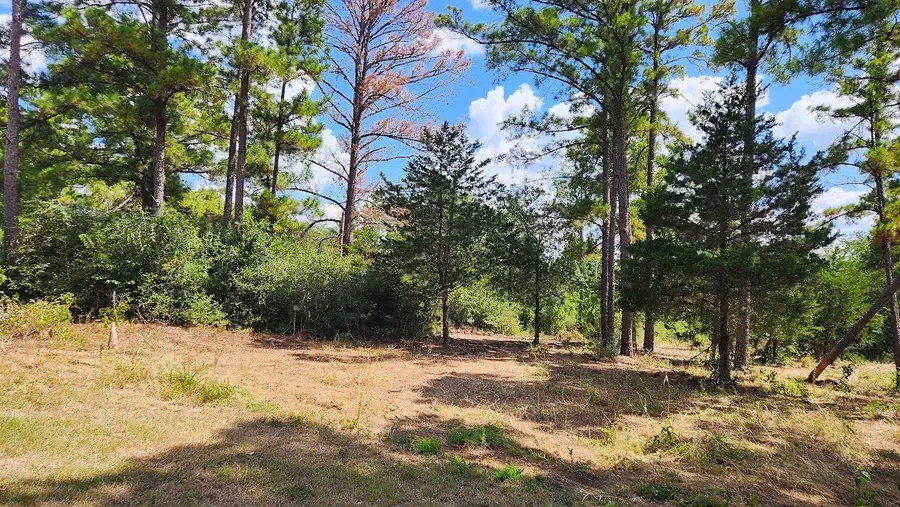 TBD Modock Dr, Bastrop, TX 78602 - #2