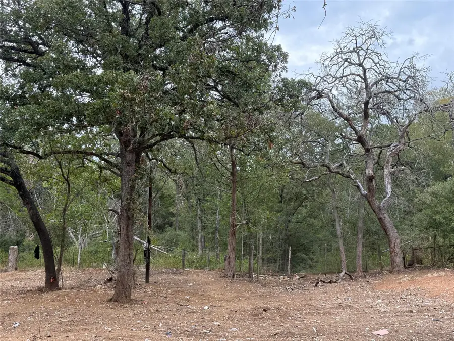 145 Ash St, Bastrop, TX 78602 - #3