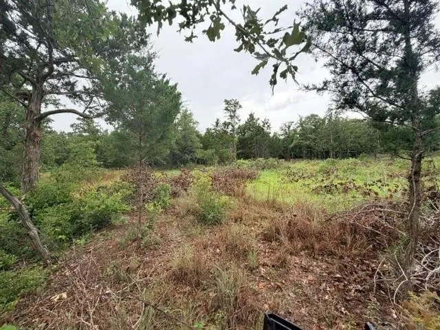 000 Mcdonald Ln W, Cedar Creek, TX 78612 - #3