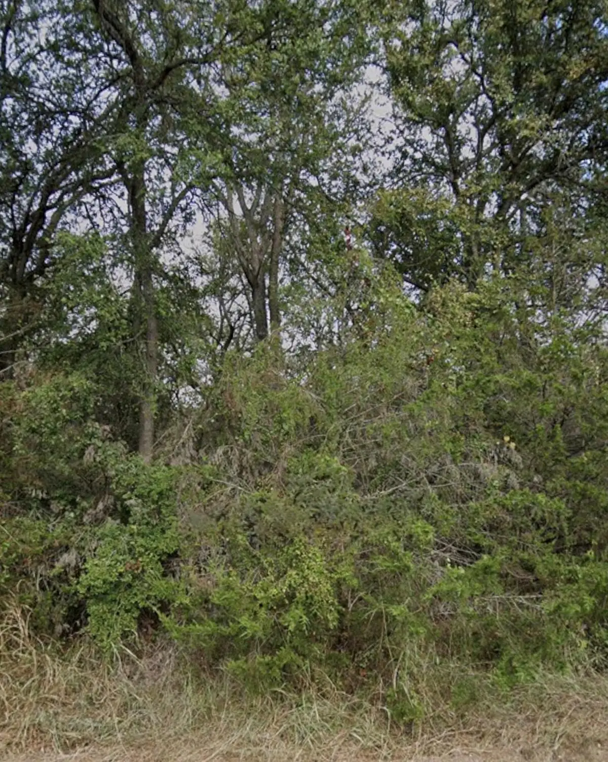 208 Sendero Blvd, Cedar Creek, TX 78612 - Image #1