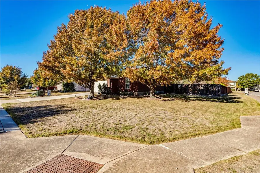 292 Langely, Kyle, TX 78640 - Image #3