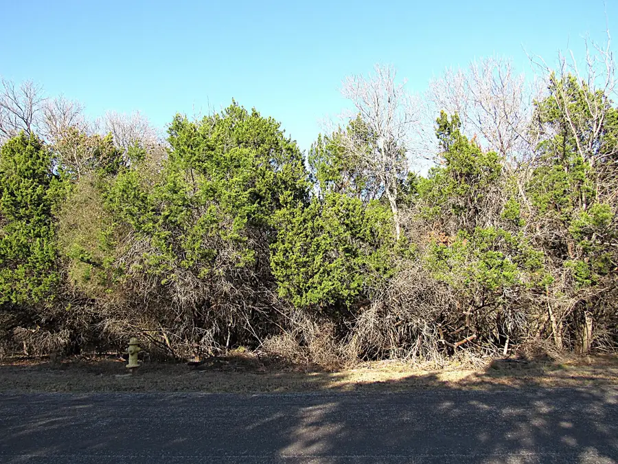 10784 Highview Dr, Belton, TX 76513 - Image #2