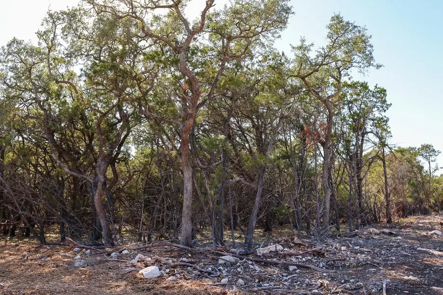 3101 - 3 Longhorn Trl, Wimberley, TX 78676 - Image #2