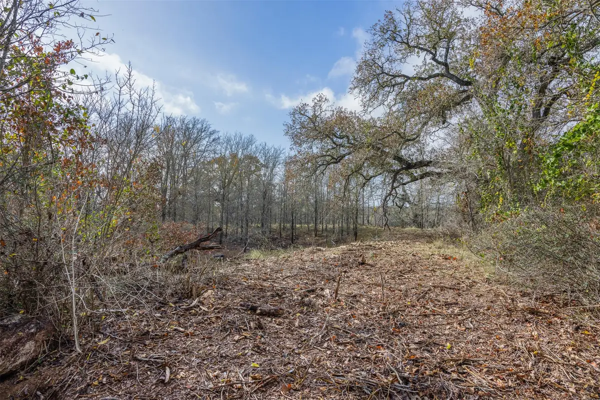 970 Bugtussle Ln, Luling, TX 78648 - Image #1