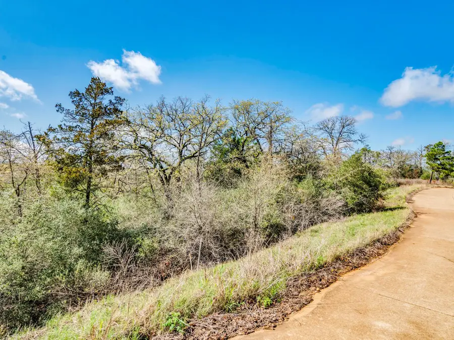 119 & 123 Mccarthy Dr, Bastrop, TX 78602 - #3