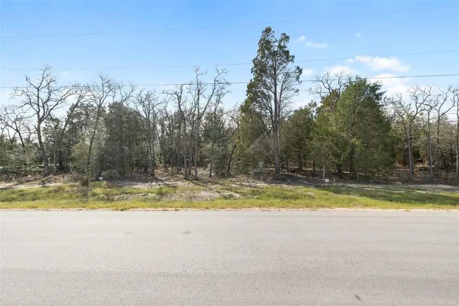 160 Los Robles Rd, Elgin, TX 78621 - #2