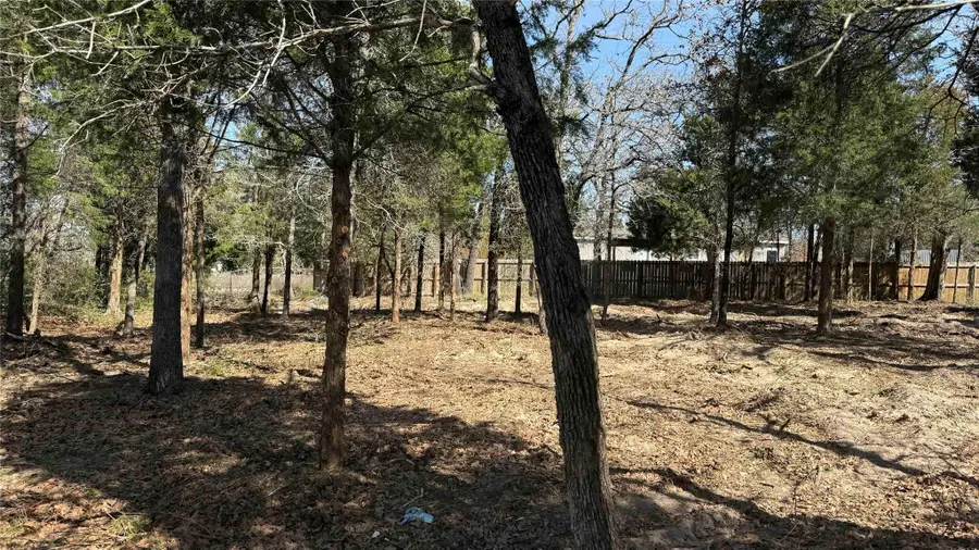 160 Los Robles Rd, Elgin, TX 78621 - #3