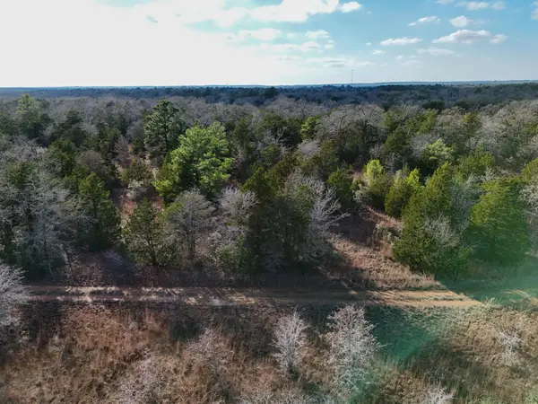 Lot 11 Antioch Rd, Paige, TX 78659