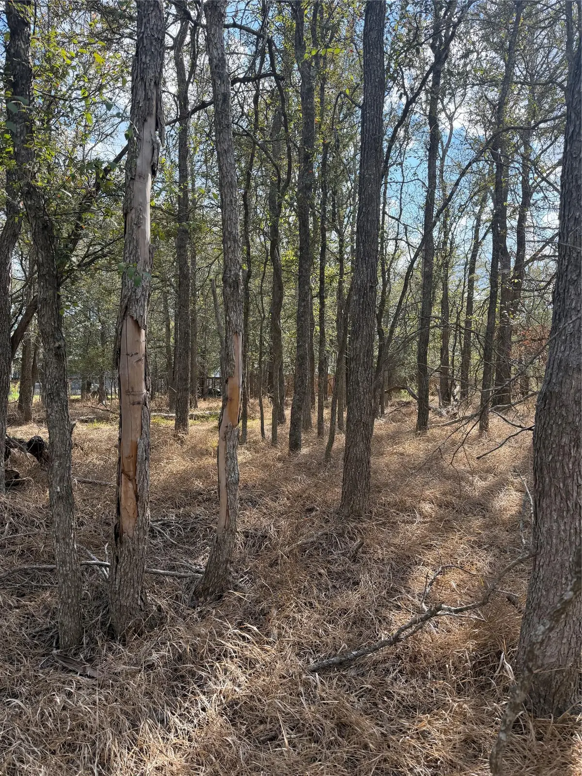 Lot 118 W Keomuku Ln, Bastrop, TX 78602 - #1