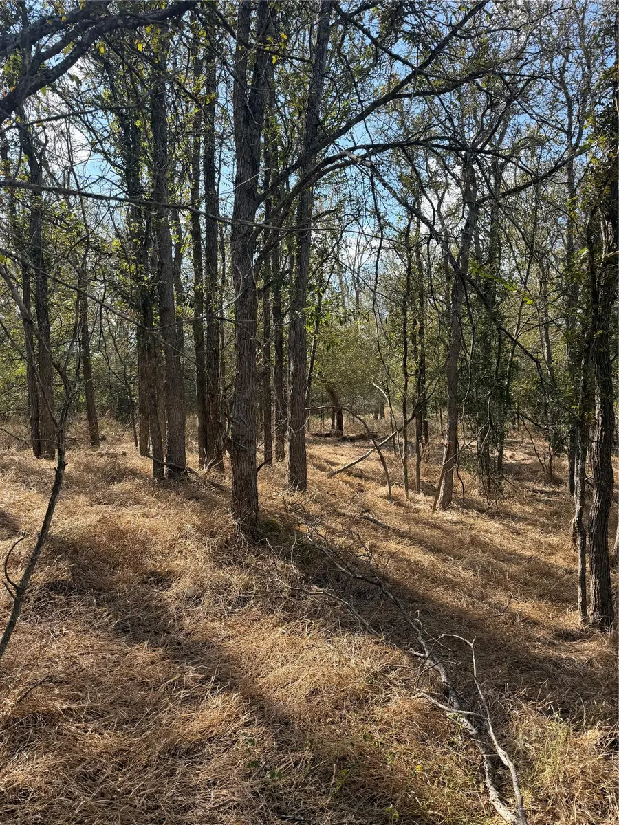 Lot 118 W Keomuku Ln, Bastrop, TX 78602 - #2