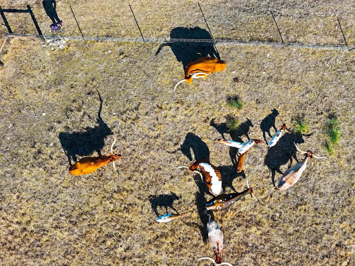 TBD Lipan Apache Run, Blanco, TX 78606 - #1