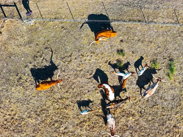 TBD Lipan Apache Run, Blanco, TX 78606