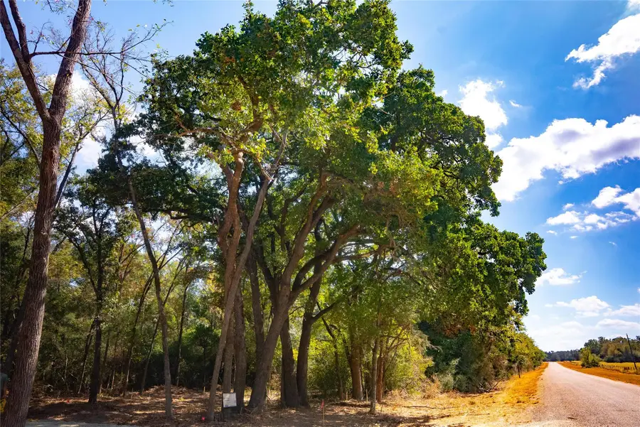 12524 Red Hill Rd, Hearne, TX 77859 - Image #3