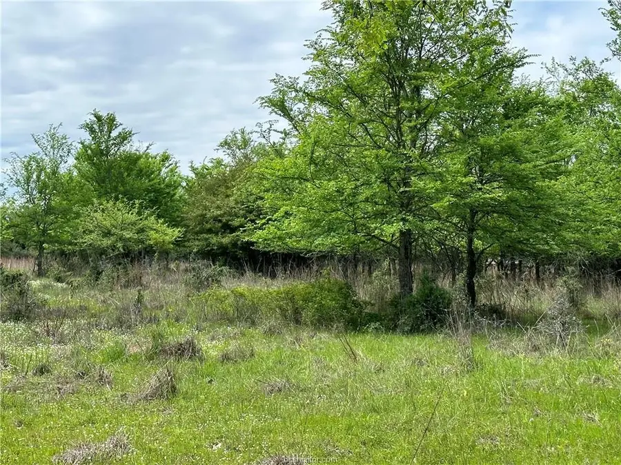00 Hickory Loop Rd, Thornton, TX 76687 - Image #3