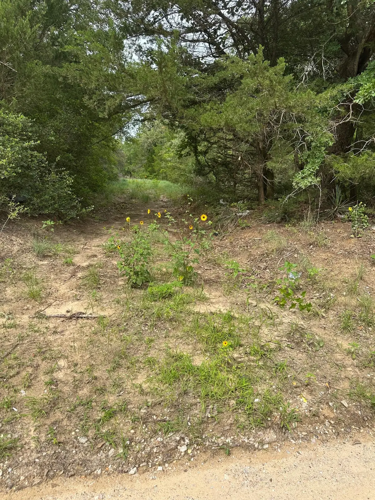 Lot 58-61 Pecan Dr, Caldwell, TX 77836 - #1