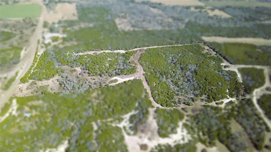 Tract 1 Fm 2955, Gatesville, TX 76528 - Image #3