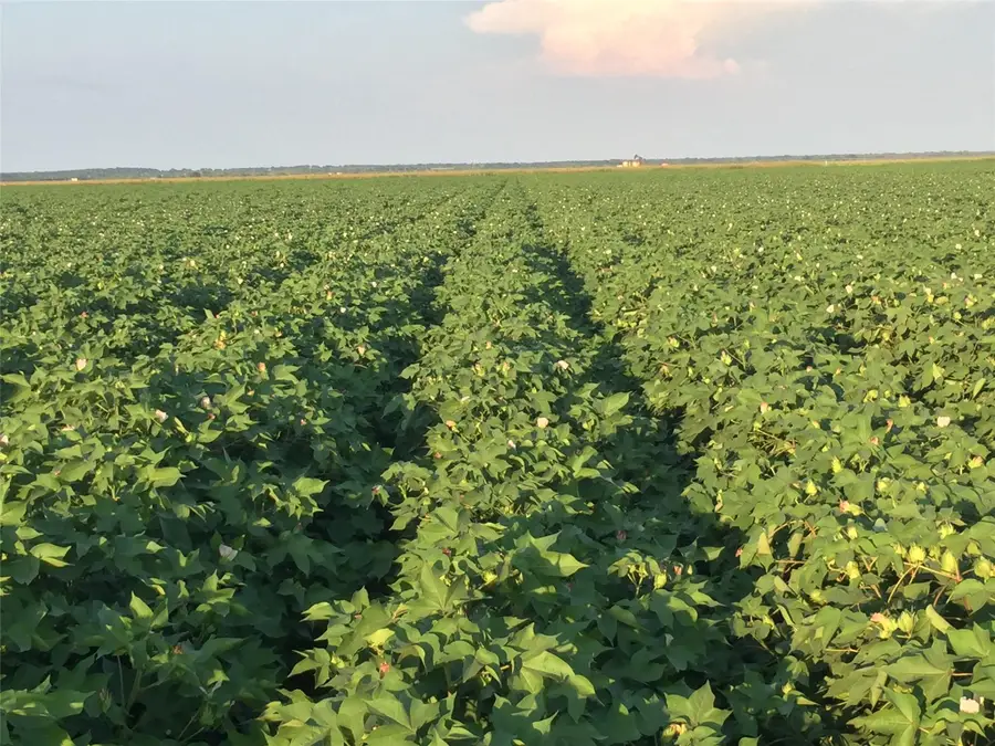 12485 Sandy Point Rd, Bryan, TX 77807 - #2