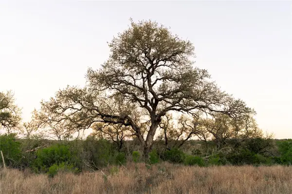 1901 Oak Grove Rd, San Marcos, TX 78666