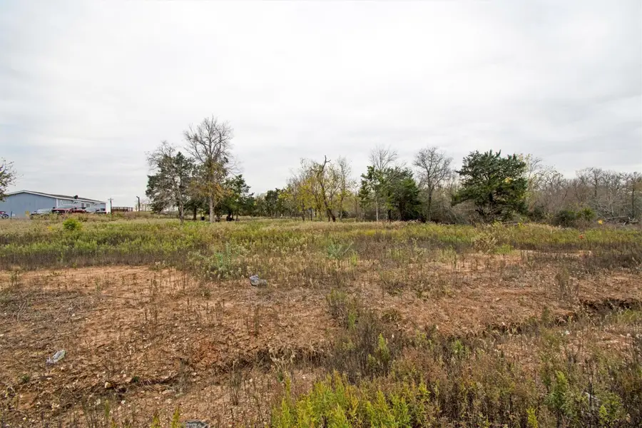 113 Blanco Canyon St, Elgin, TX 78621 - Image #3