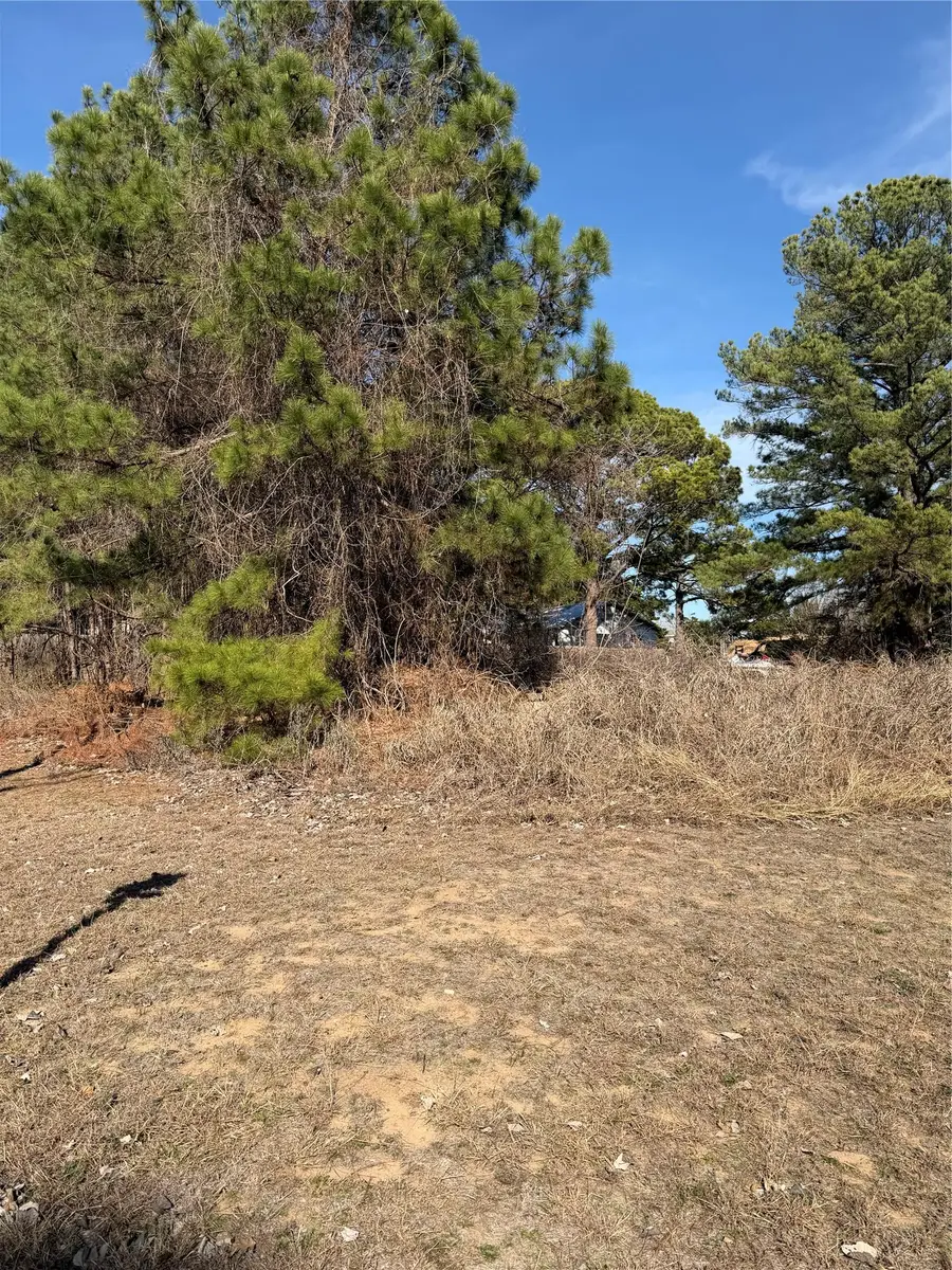 Lot 20 Indian Oak Dr, Bastrop, TX 78602 - #2