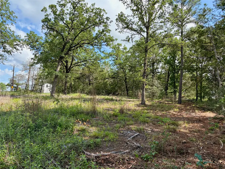 Lots-97/98 Shawnee Dr, Smithville, TX 78957 - #3
