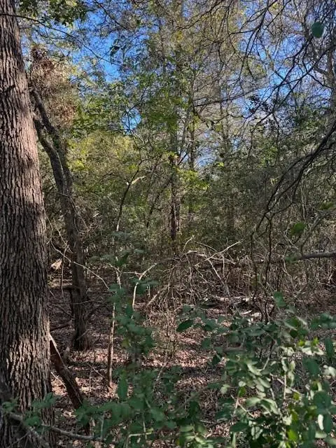#1