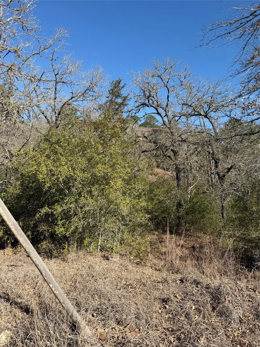 Lot 109 Wailupe Cir, Bastrop, TX 78602 - #3