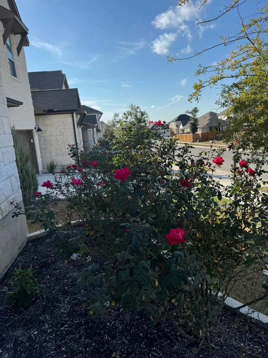 129 Cotton Tree Ter, Dripping Springs, TX 78620 - Image #3