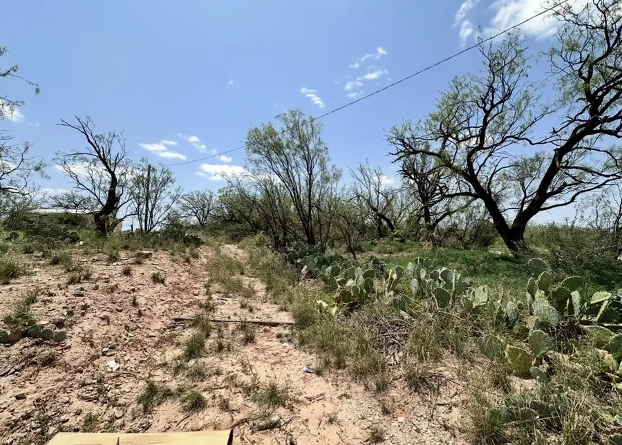 1900 W 4th St, Big Spring, TX 79720 - #3