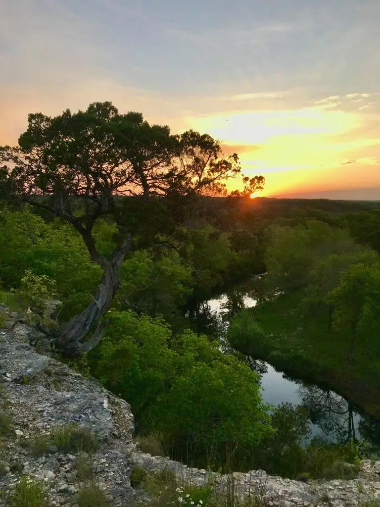 1500 County Road 279, Liberty Hill, TX 78642 - Image #3